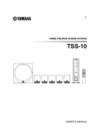 Yamaha TSS-10 - Owners Manual 